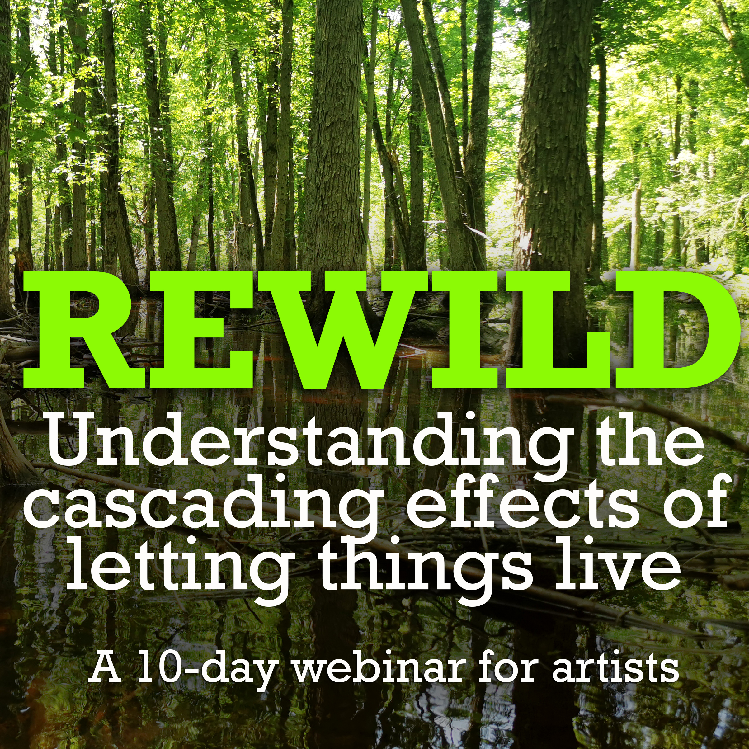 rewild